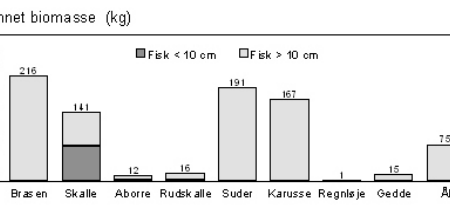 Analyse af fiskebestanden