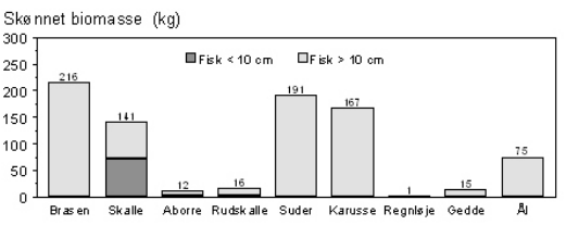 Analyse af fiskebestanden