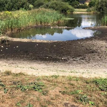 Oprensning af Wetland